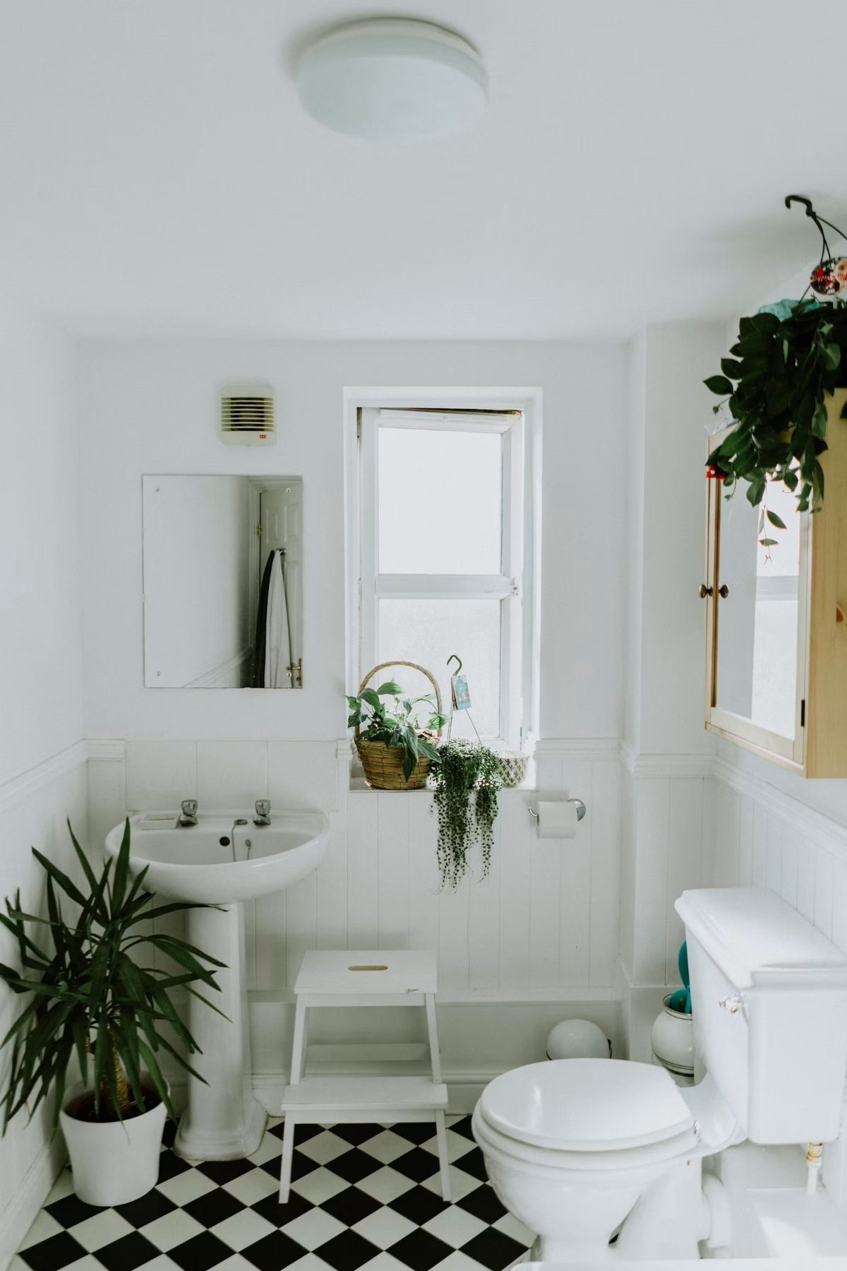 Bright white bathroom with black and white checkered floor, pedestal sink, toilet, window, and potted plants